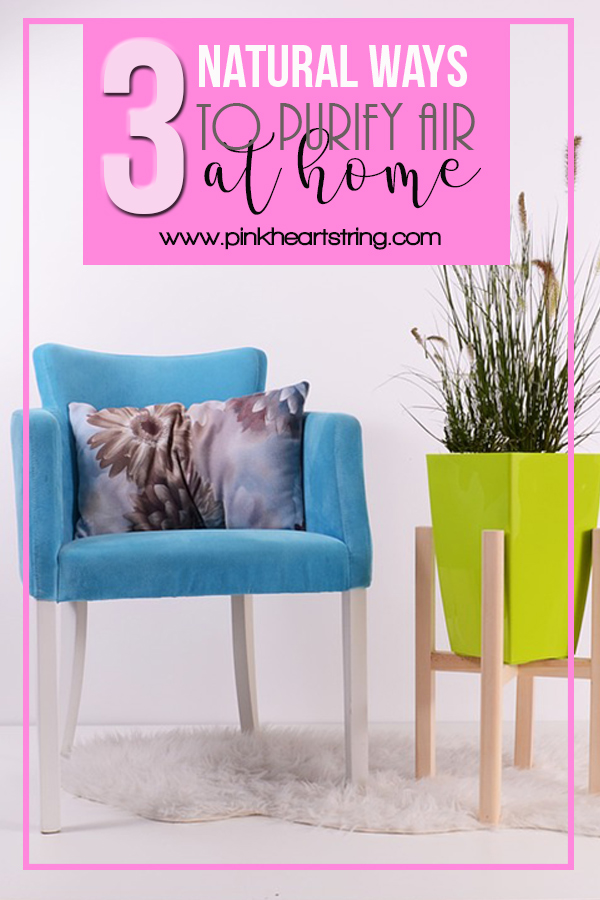 3 Natural Ways to Purify Air at Home
