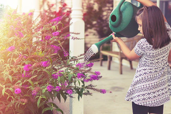 gardening tips