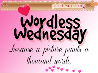 Wordless Wednesday: Ice Cream, Anyone?